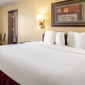 Executive Suite Two King Beds